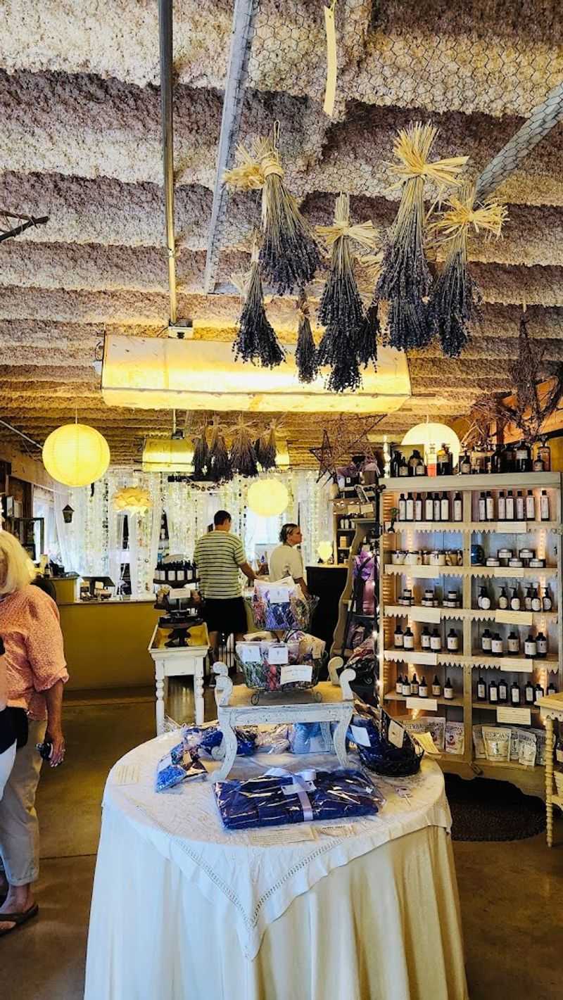 The Farm Earns A Near-Perfect Rating From Hundreds Of Visitors