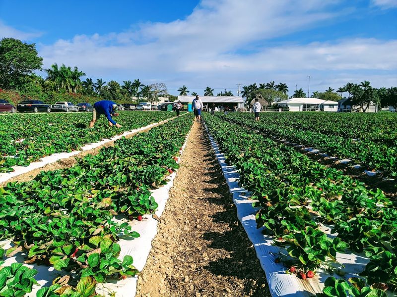 The Farm Operates On A Seasonal Schedule