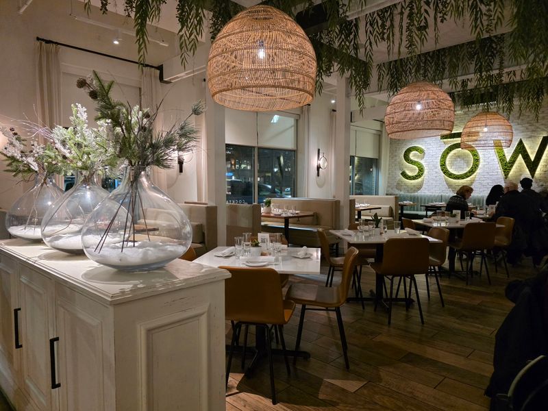 SŌW Plated – Upper Arlington