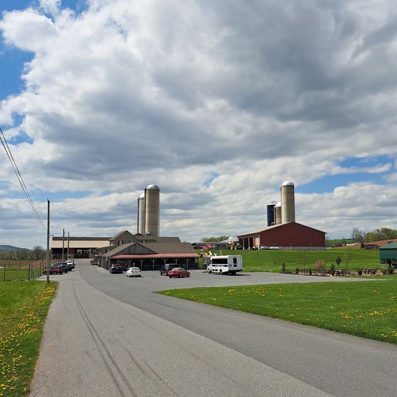 The Farm Setting That Makes It Unforgettable