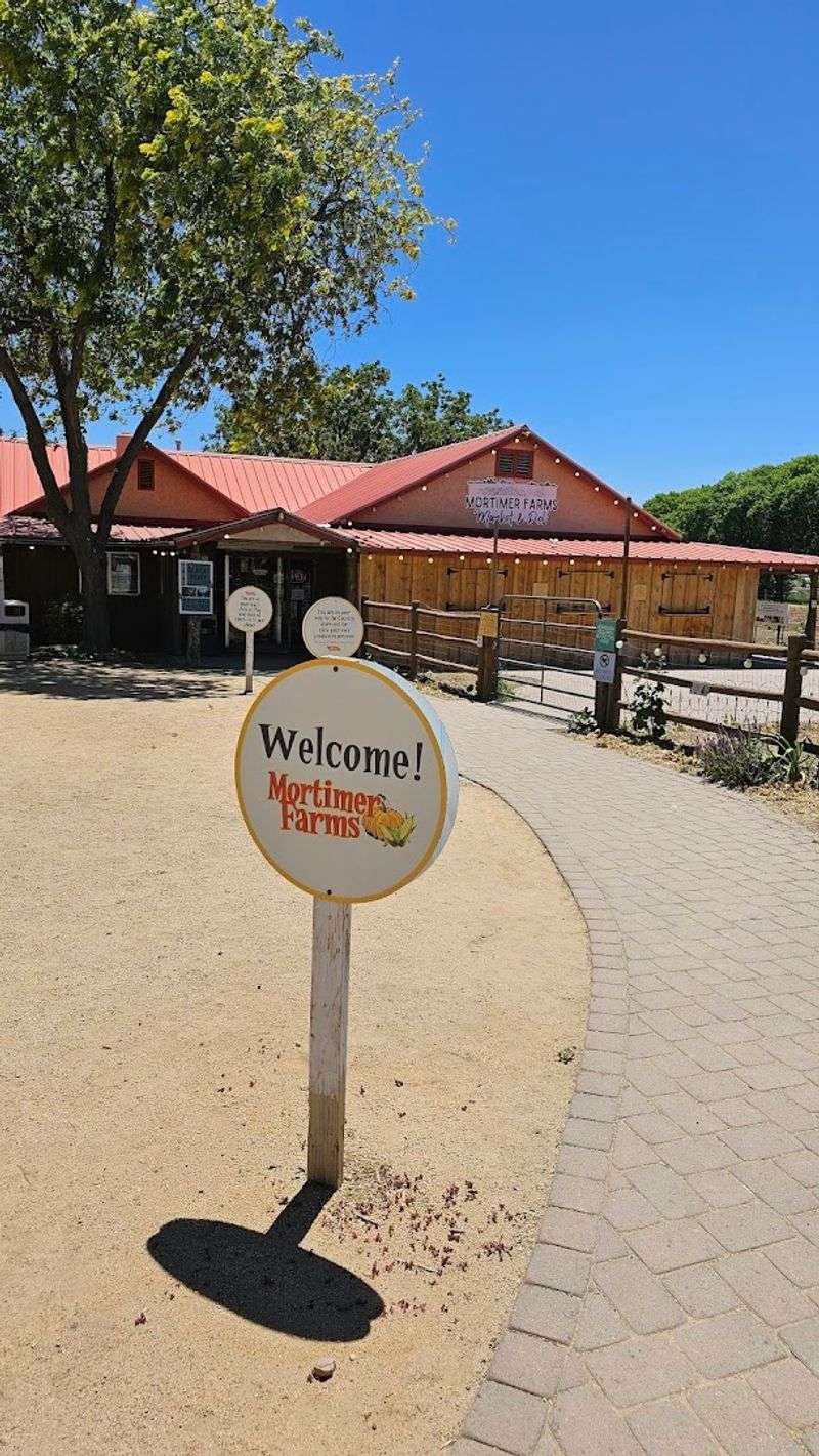 Why Spring Is The Best Time To Visit