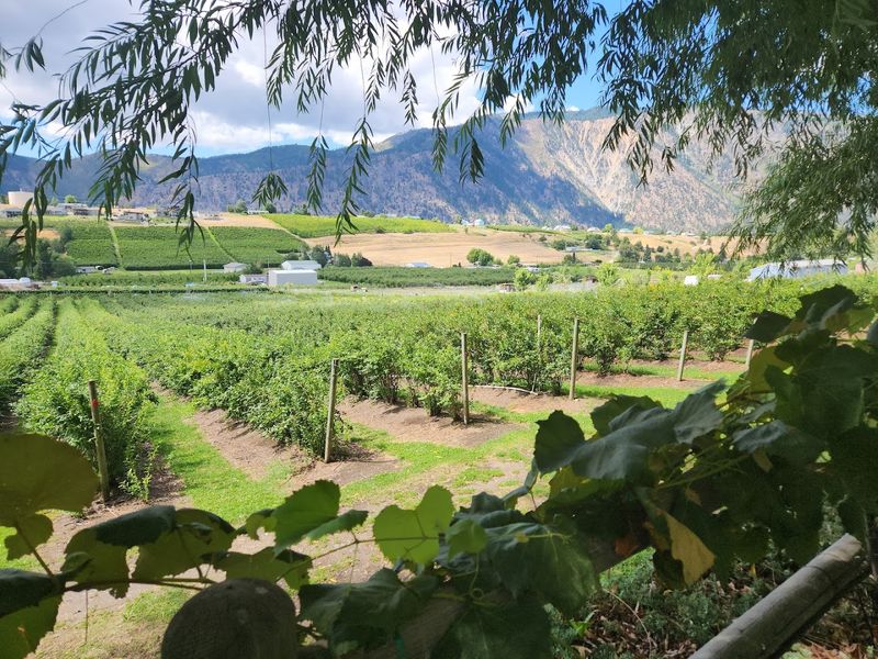 The Farm Setting That Steals The Show
