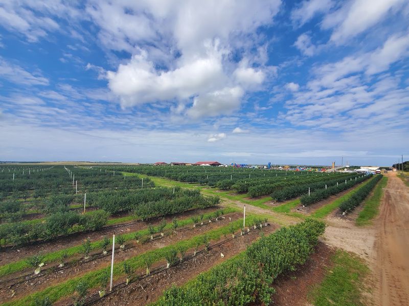 The Farm Sits Close To Orlando But Feels A World Away
