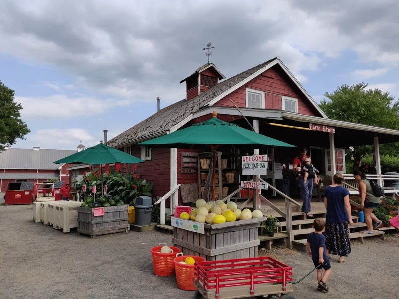 The Farm Store At 330 Cold Soil Road Is A Treasure Chest The Farm Store At 330 Cold Soil Road Is A Treasure Chest
