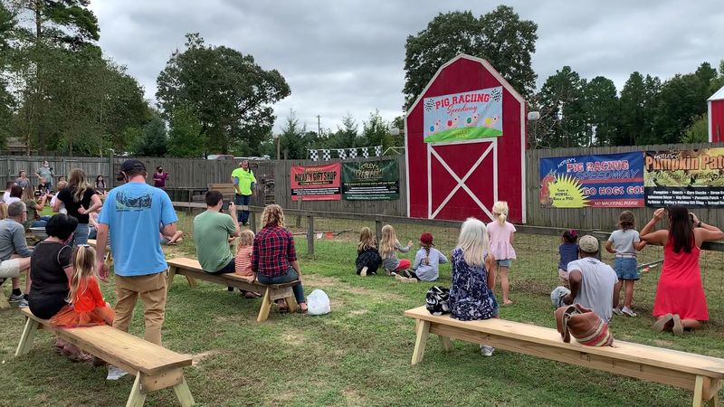 The Farm Zoo Brings Plenty Of Personality