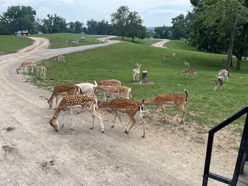 The Farm at Walnut Creek, Sugarcreek, Ohio