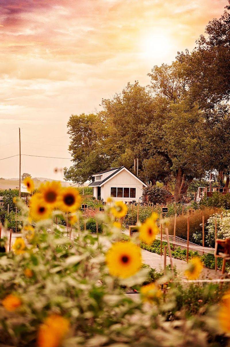 The Farm's Charming Details That Make Every Visit Feel Special The Farm's Charming Details That Make Every Visit Feel Special