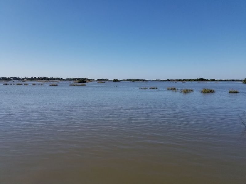The Farm's Products Are Available Beyond Cedar Key Through Distributors The Farm's Products Are Available Beyond Cedar Key Through Distributors
