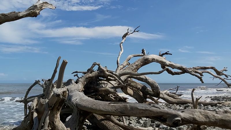 The Fascinating Science Behind How This Beach Was Formed