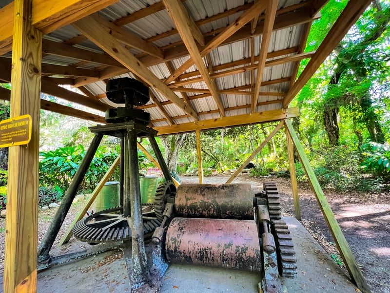 Wildlife And Natural Sounds Throughout The Property