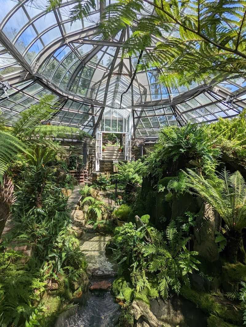 The Fernery That Feels Like A Fairy Tale The Fernery That Feels Like A Fairy Tale