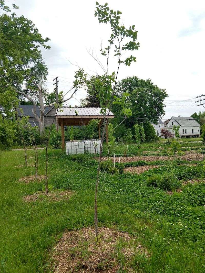 Sun Geometry And Water Discipline