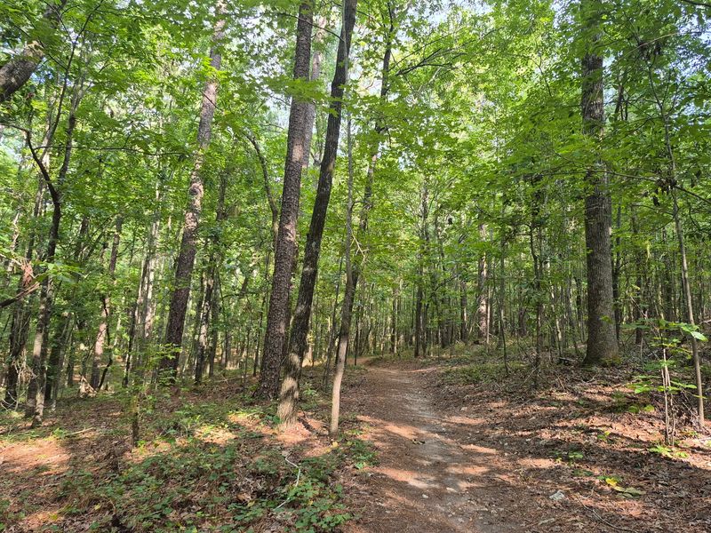 The Firebreak Trail Runs Through Prime Tick Habitat Zones