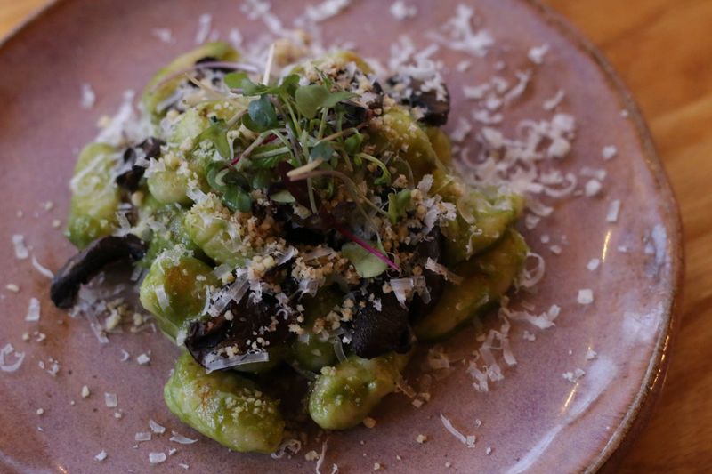 Textures In The Canopy