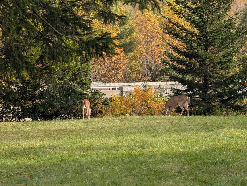 Where Exactly You Are Standing (And Why It Matters)