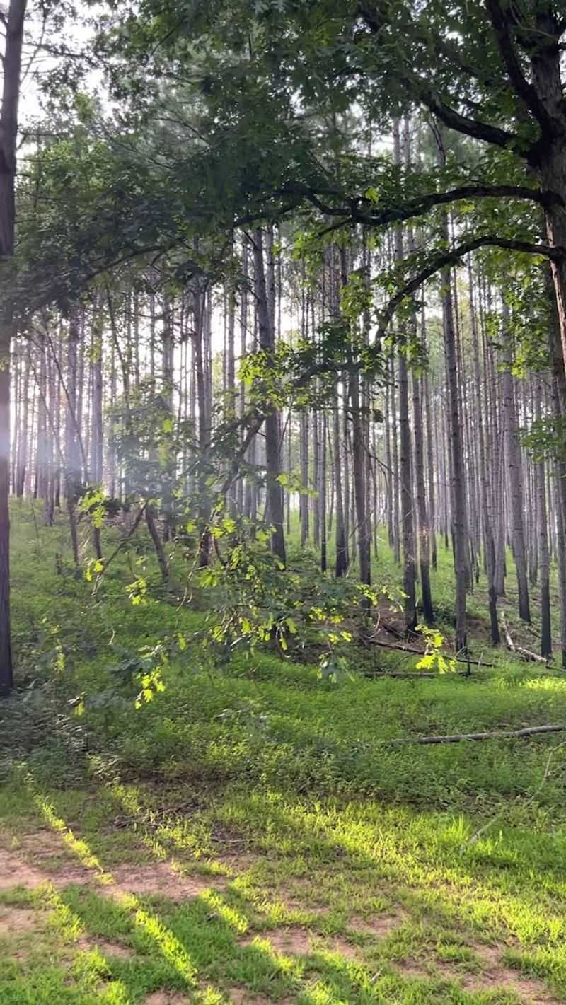 Getting There Is Half The Adventure