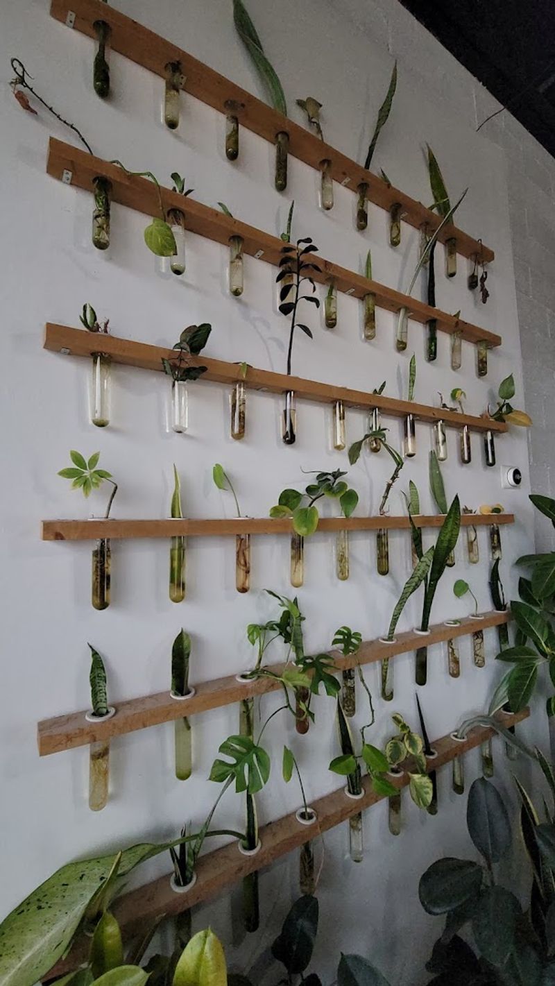 The Location Makes It A Worthwhile Road Trip