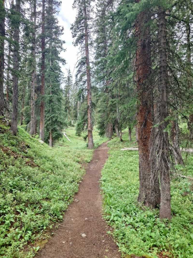 The First Two Miles: Where The Trail Earns Its Reputation