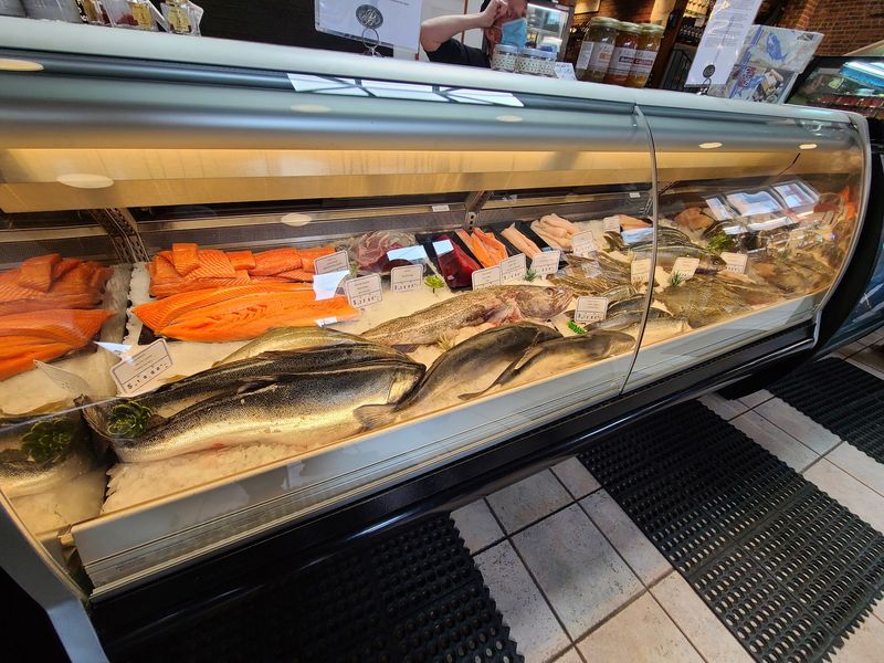 The Fish Case Steals The Show The Fish Case Steals The Show