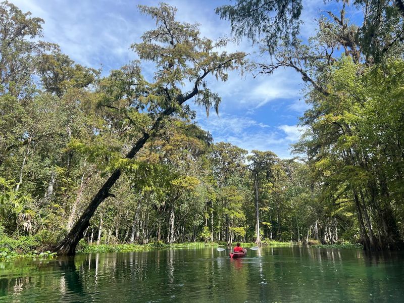 The Five-Mile Paddle Takes You Deep Into Old Florida Wilderness