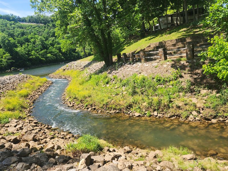 The Float Passes Forested Riverbanks