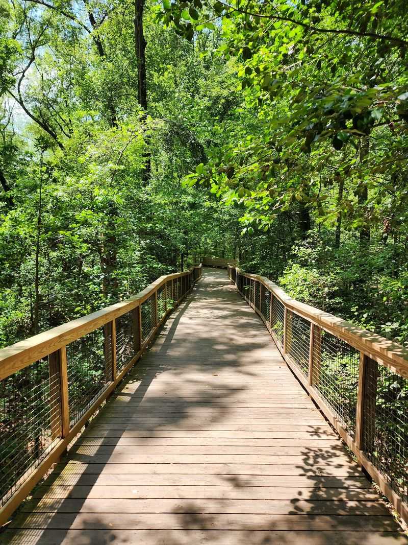 The Floating Boardwalk That Makes Exploring Easy