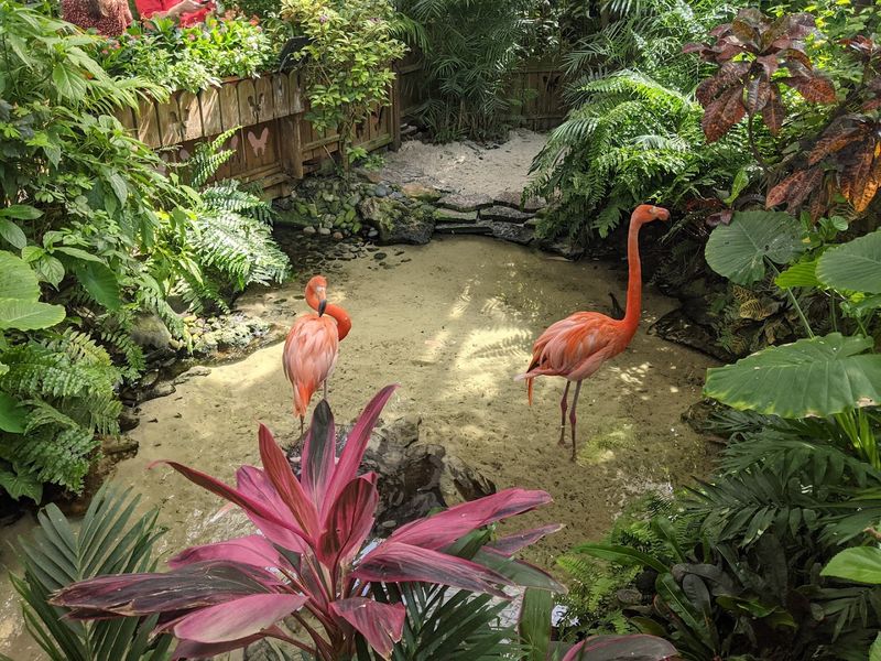 The Florida Keys' Tropical Climate Shapes Every Ride