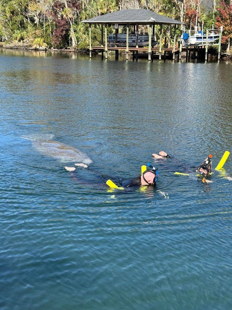 Blue Heaven River House