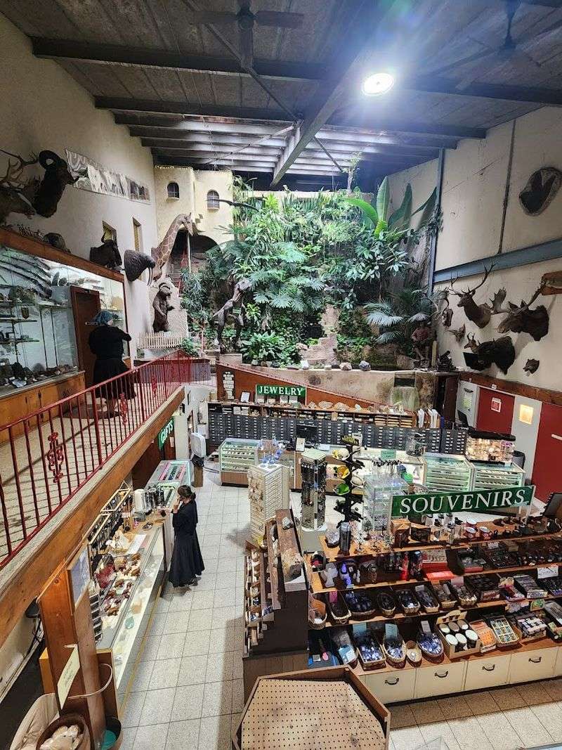 Affordable Admission That Makes It Family-Friendly