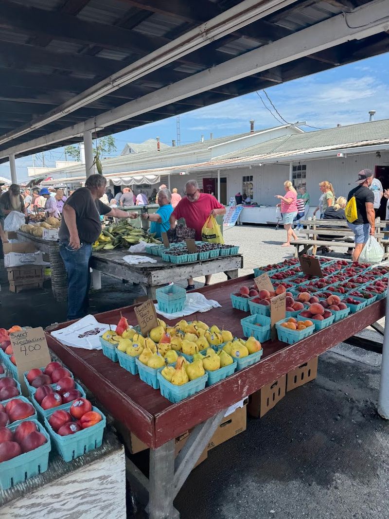 Only Open on Tuesdays, Which Makes Every Visit Feel Special