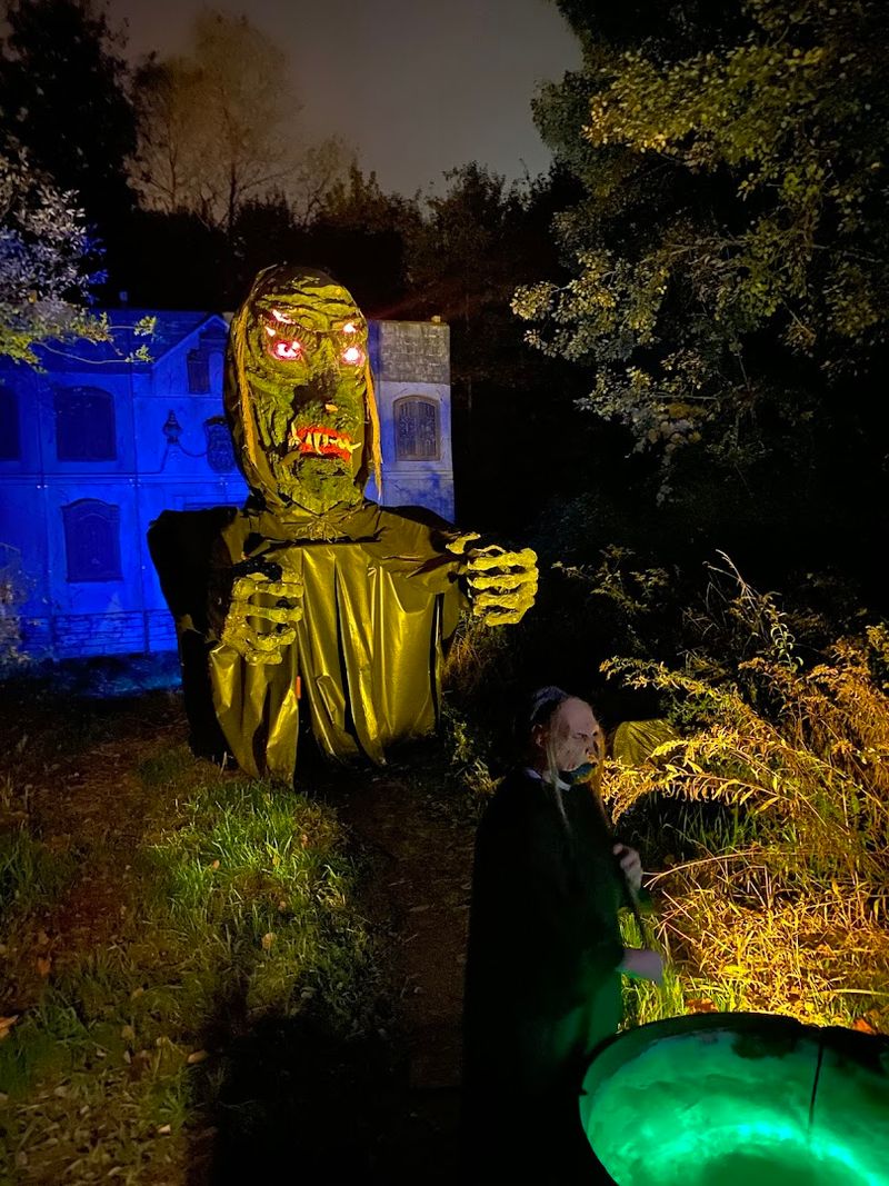 The Quad Combo Experience