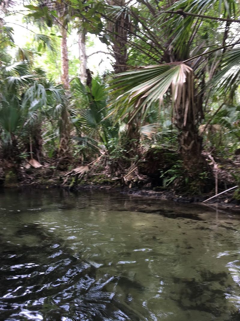 Wildlife Sightings Along The Path Are Genuinely Common