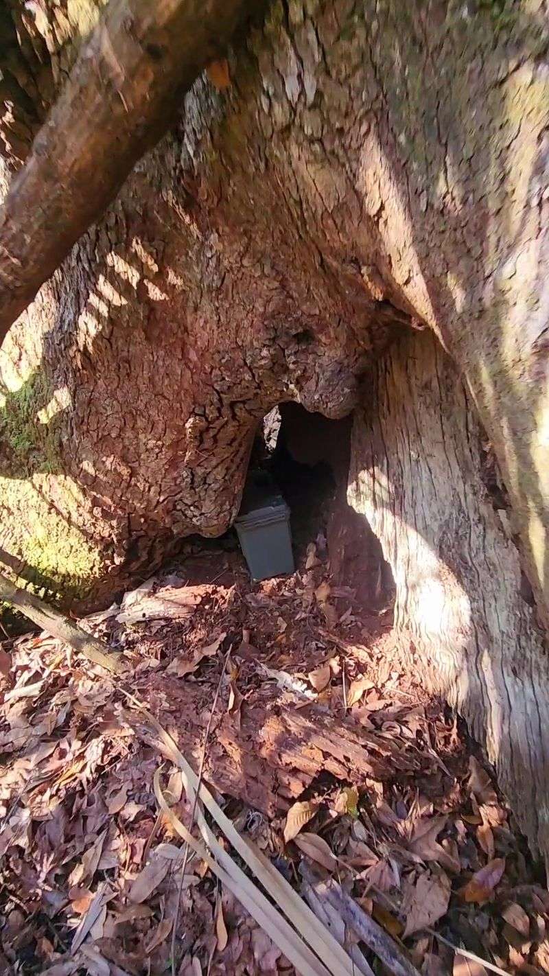 Rocky Technical Terrain