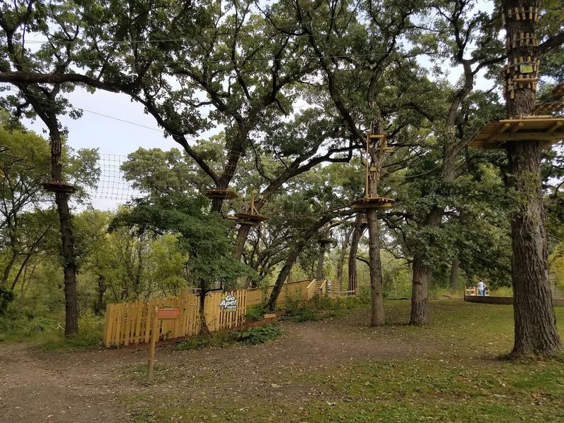 The Forest Setting In Western Springs