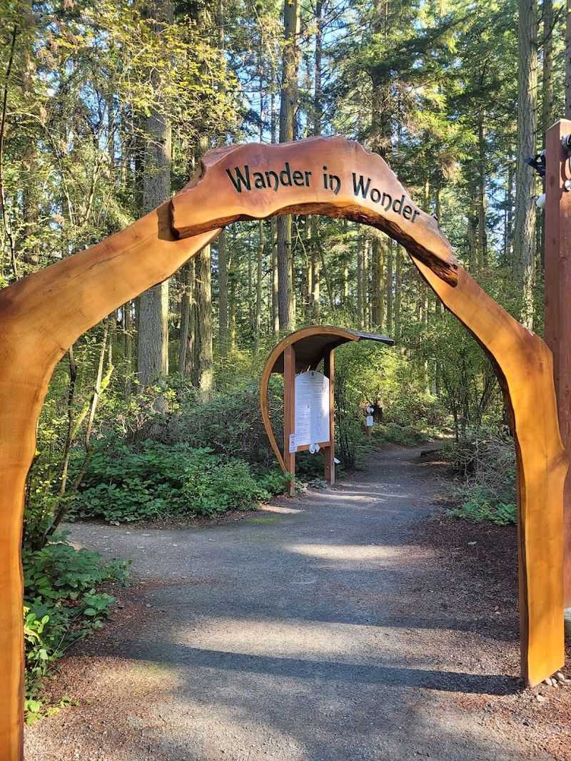 The Forest Setting That Sets The Stage