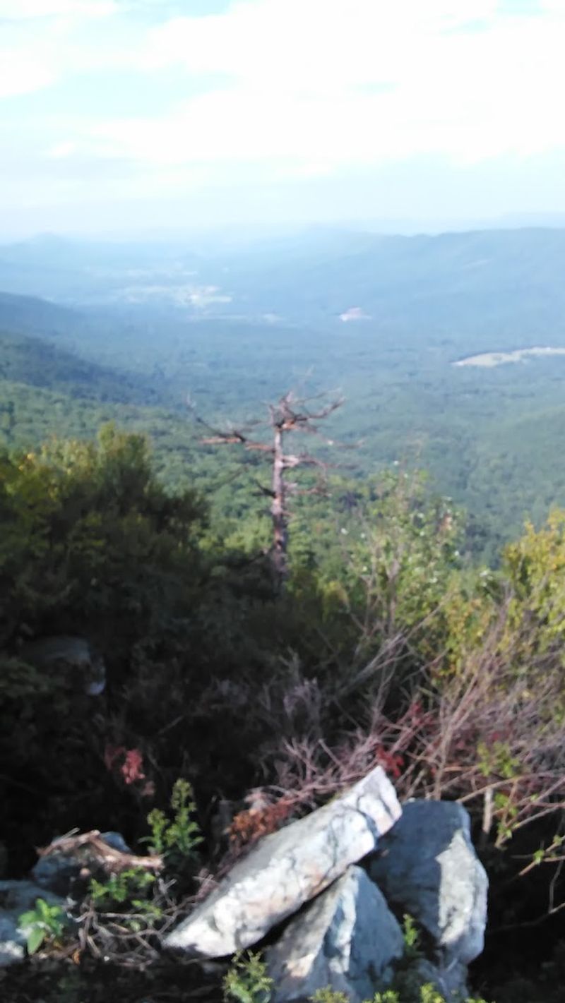 Rugged Terrain Makes This Forest A Real Physical Challenge