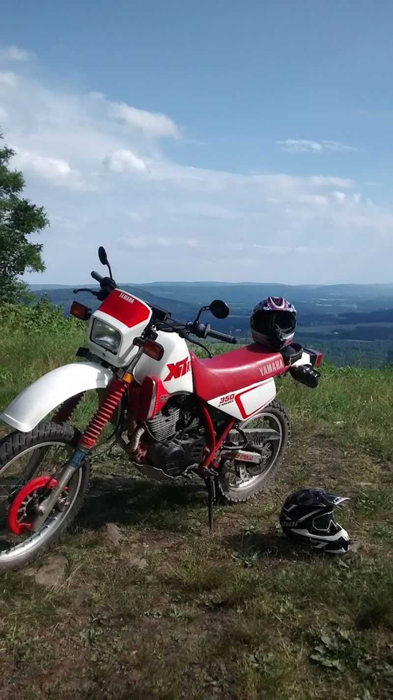 Mountain Biking And ATV Trails Add Adrenaline To The Mix