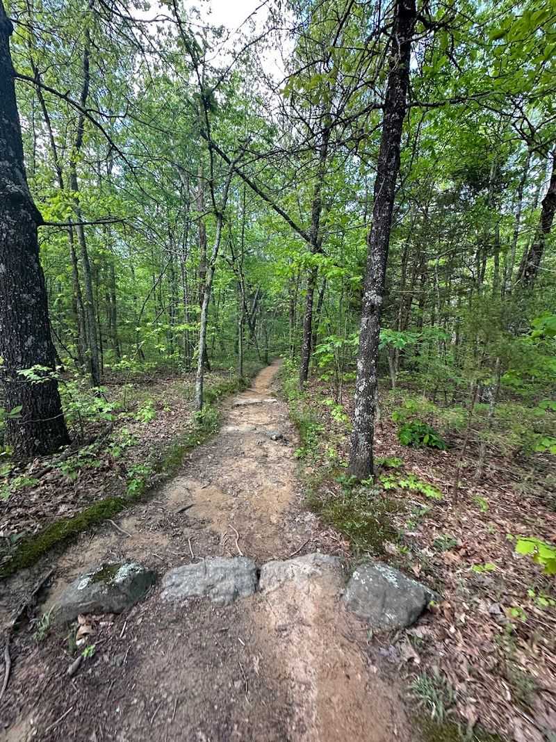 A 5-Mile Journey That's Easier Going Down Than Coming Back Up