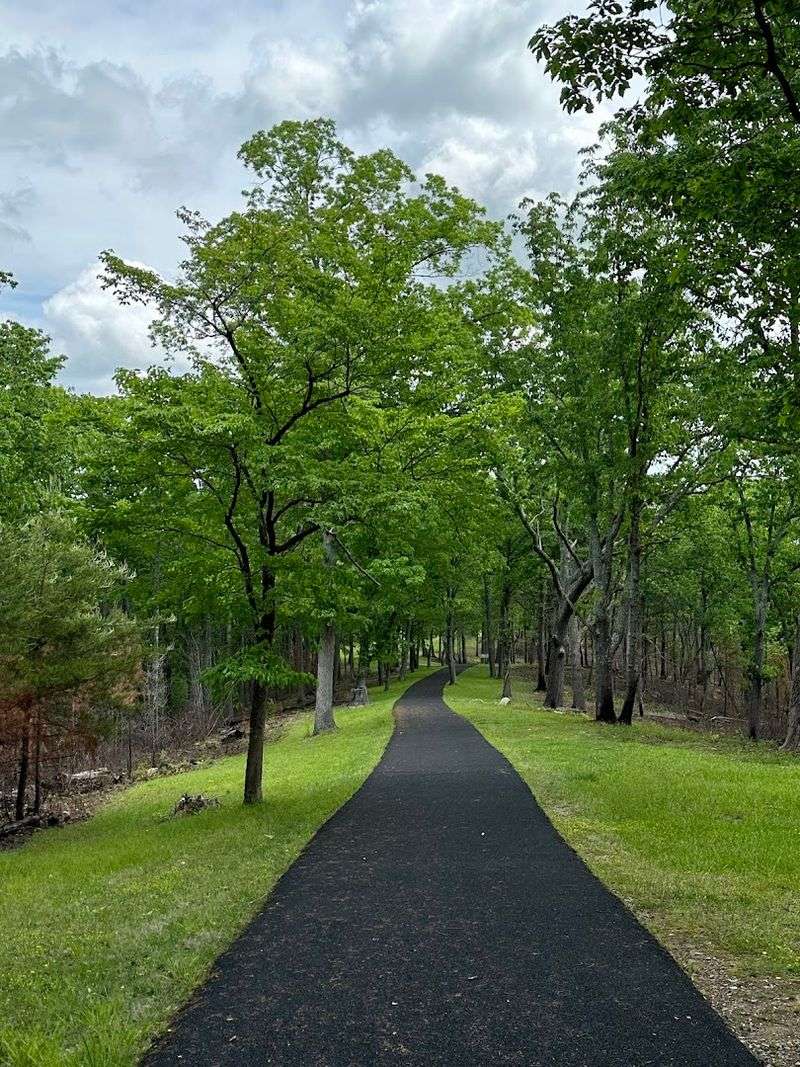 The Forested Battlefield Trail Experience