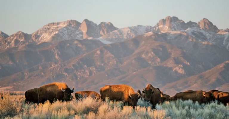 The Forgotten Colorado Desert Retreat That Feels Out Of This World