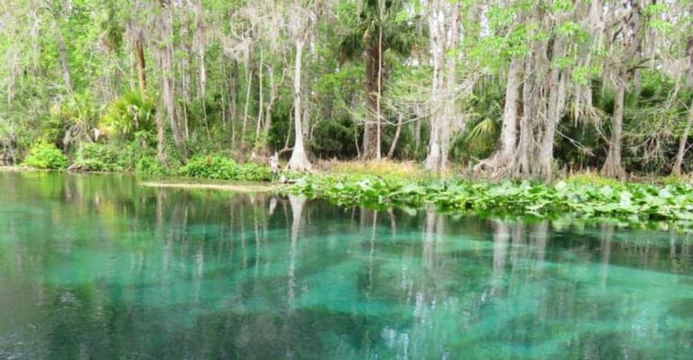 The Forgotten Florida Resort That Locals Swear Was Once Paradise