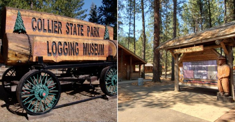 The Forgotten Logging Village In Oregon That Feels Trapped In The 1800s