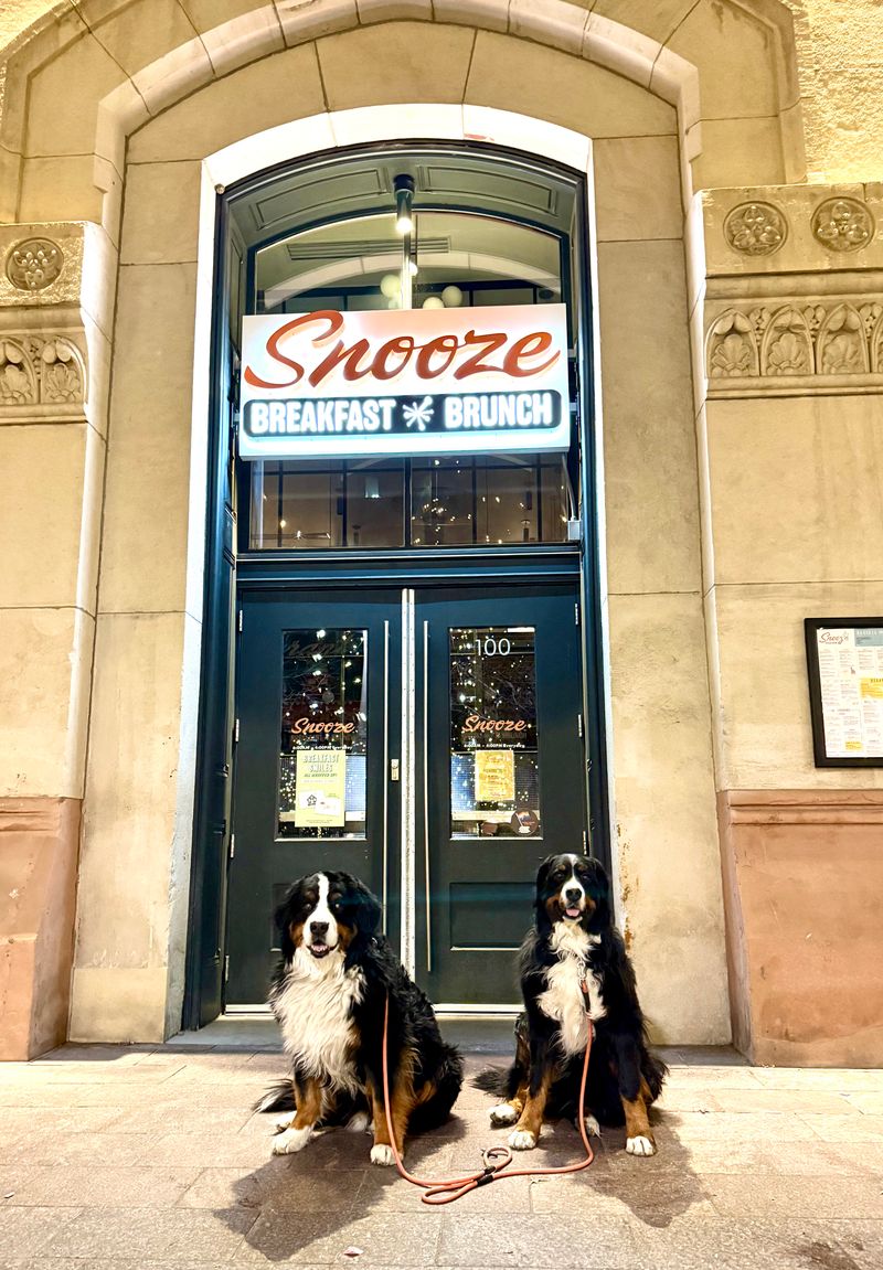 Snooze, an A.M. Eatery (Union Station) — 1701 Wynkoop St, Suite 100, Denver, CO 80202