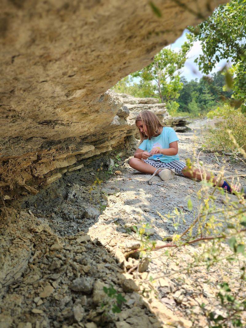The Fossil-Hunting Experience The Fossil-Hunting Experience