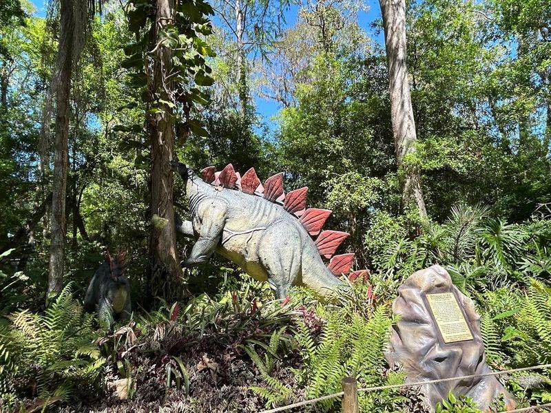 The Fossil Museum and Real Artifact Collection