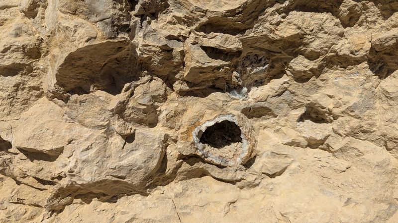 The Fossil Surprise Underground