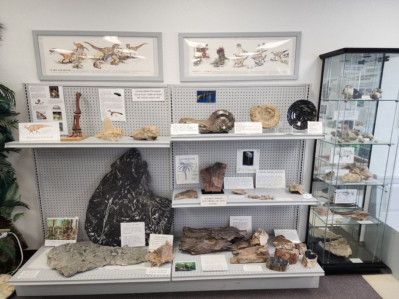 The Fossil and Dinosaur Room