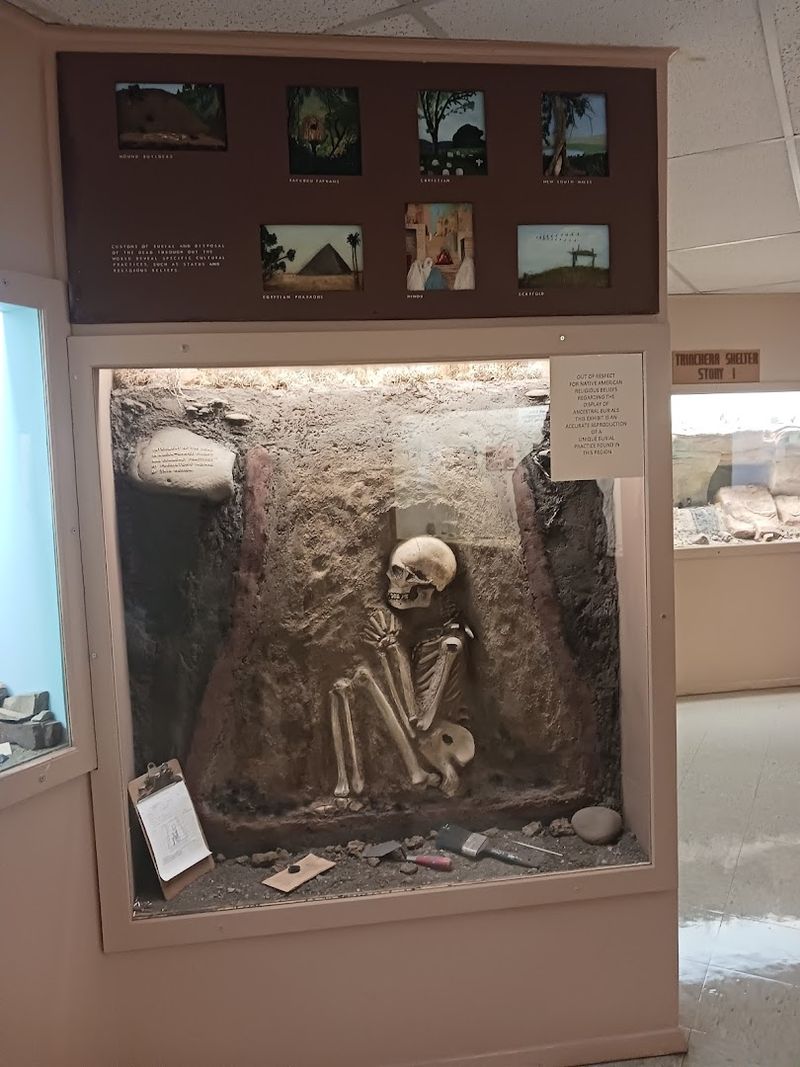 The Fossils That Stop You Mid-Step