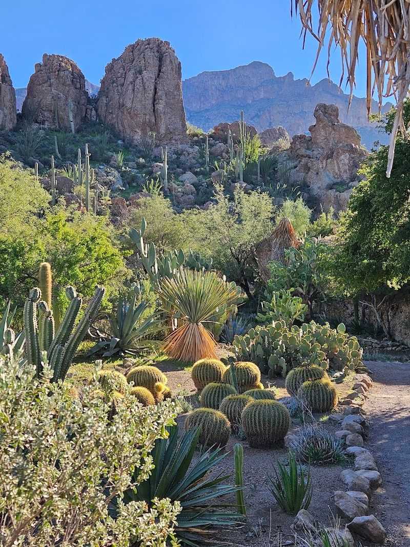 Five Miles Of Trails Through A Desert World