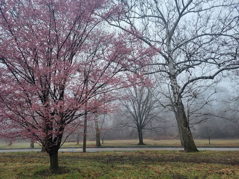 The Four Seasons Each Bring Something Different